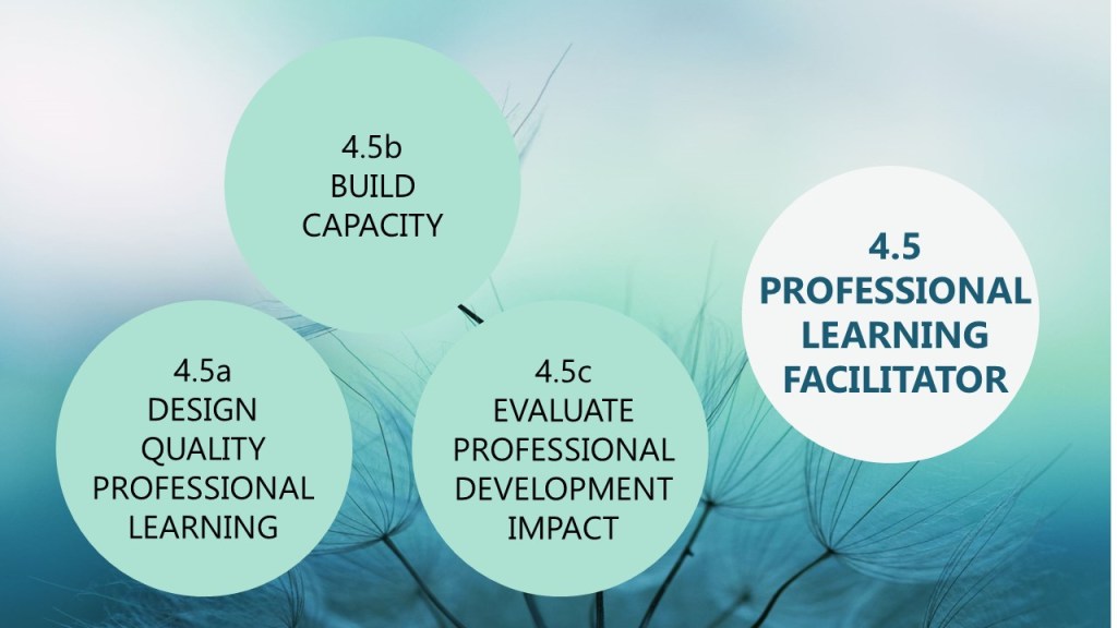 Professional learning facilitator